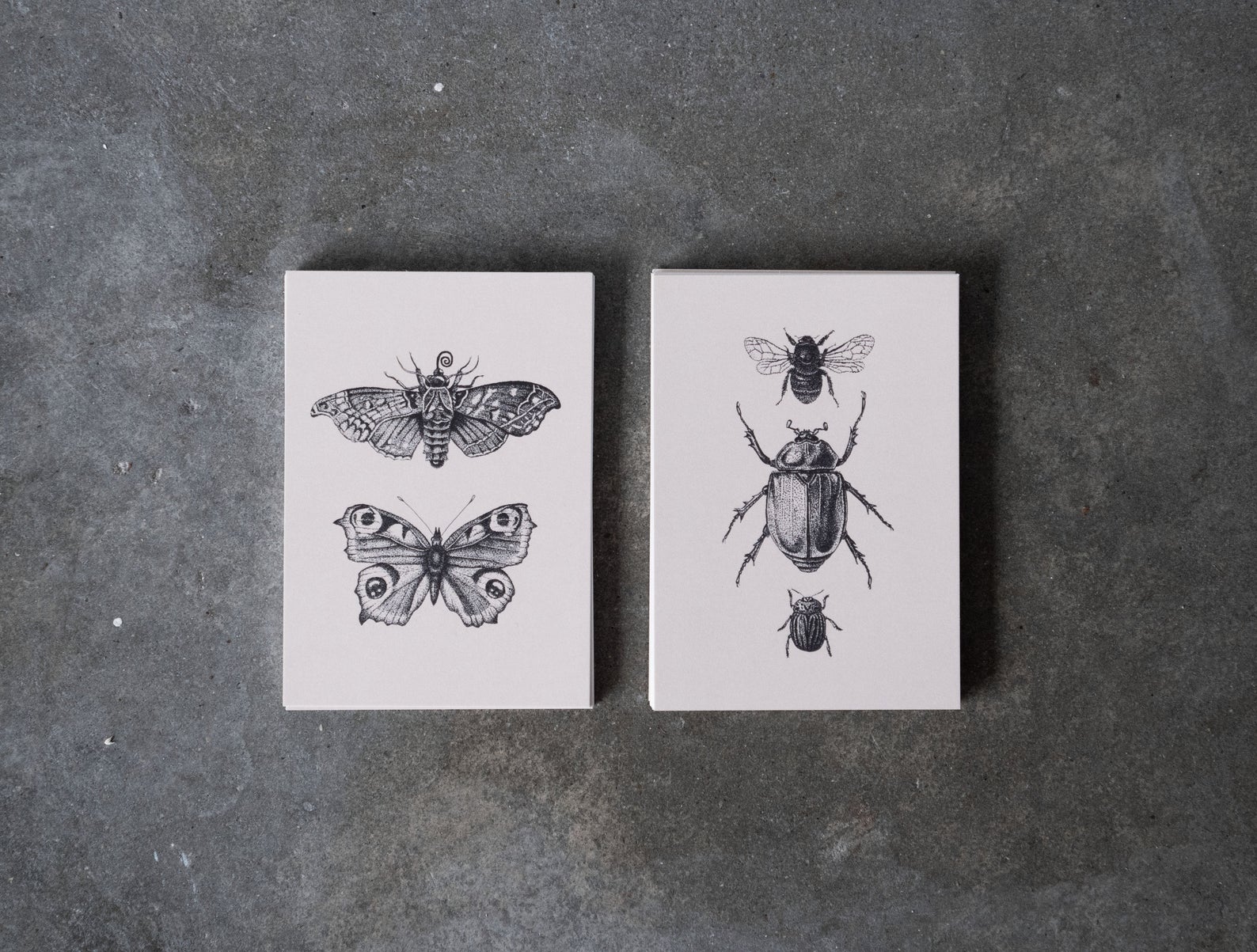 Insect 2pack